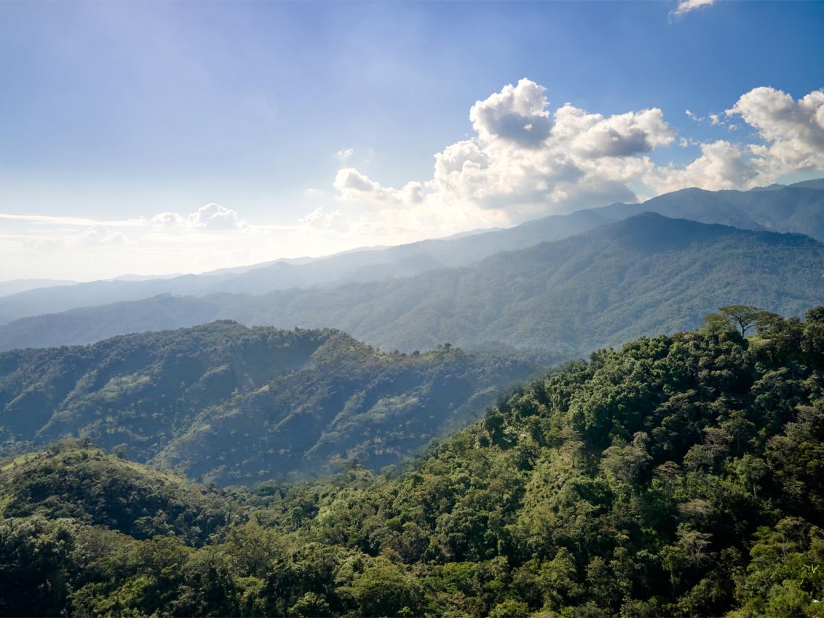 Esta campaña busca prevenir y combatir los incendios forestales en la zona de la Reserva del Merendón y sus alrededores.
