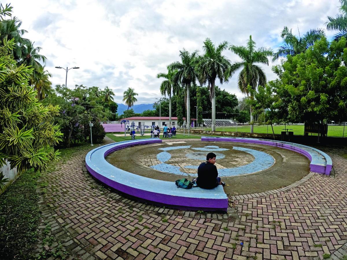 Un 30% de las colonias de SPS no cuentan con áreas verdes