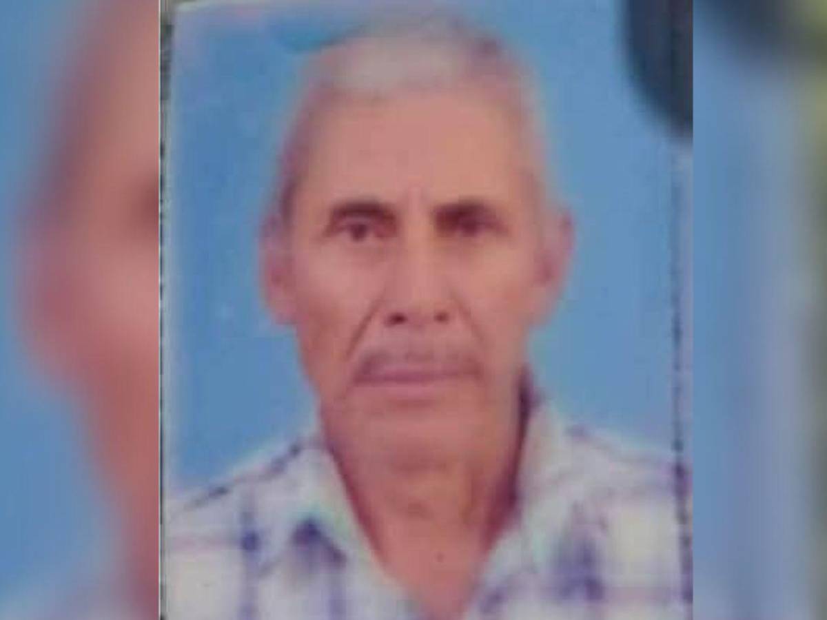 Ambientalista e hijo habrían sido desmembrados con la misma motosierra que usaban taladores