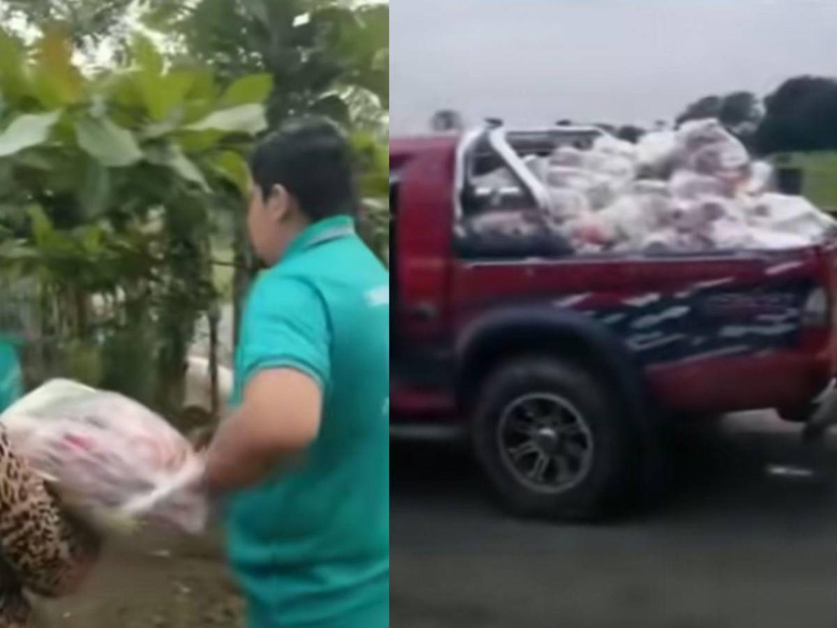 Hasta con provisiones se ganaba Koriun la confianza de los socios