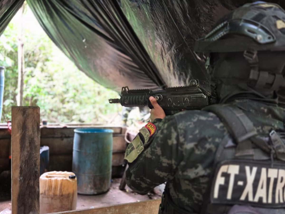 Más de 44,000 arbustos de hoja de coca y dos picaderos son asegurados en Colón