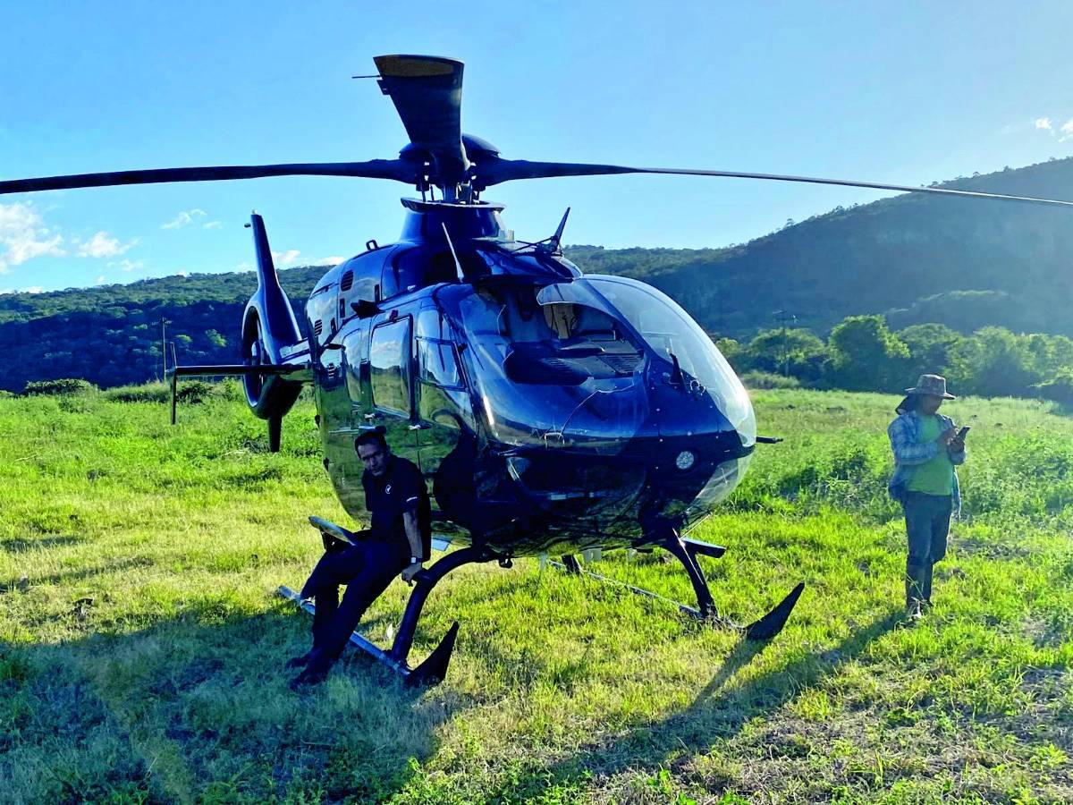 El ave de rapiña impactó en el vidrio frontal del helicóptero en donde viajaba Aldo Micheletti.