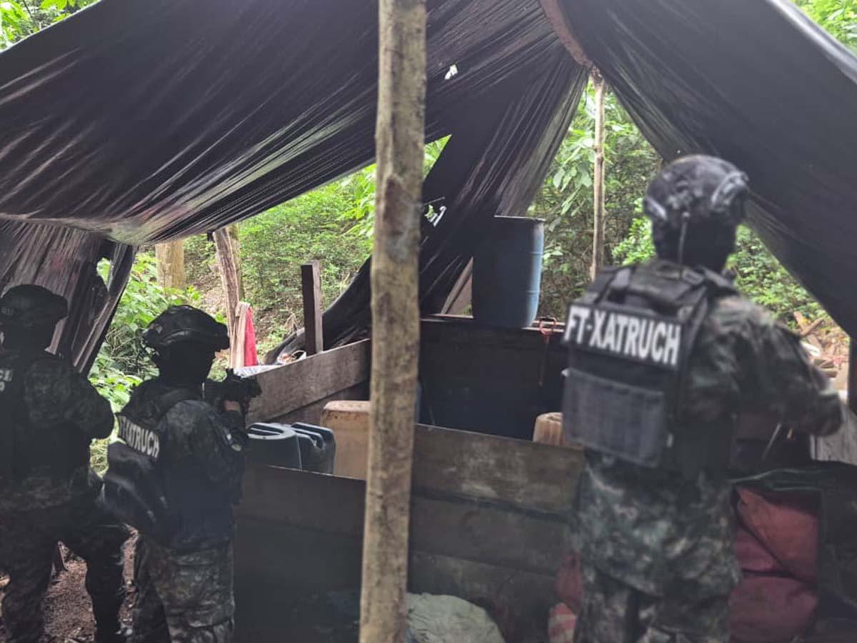 Más de 44,000 arbustos de hoja de coca y dos picaderos son asegurados en Colón