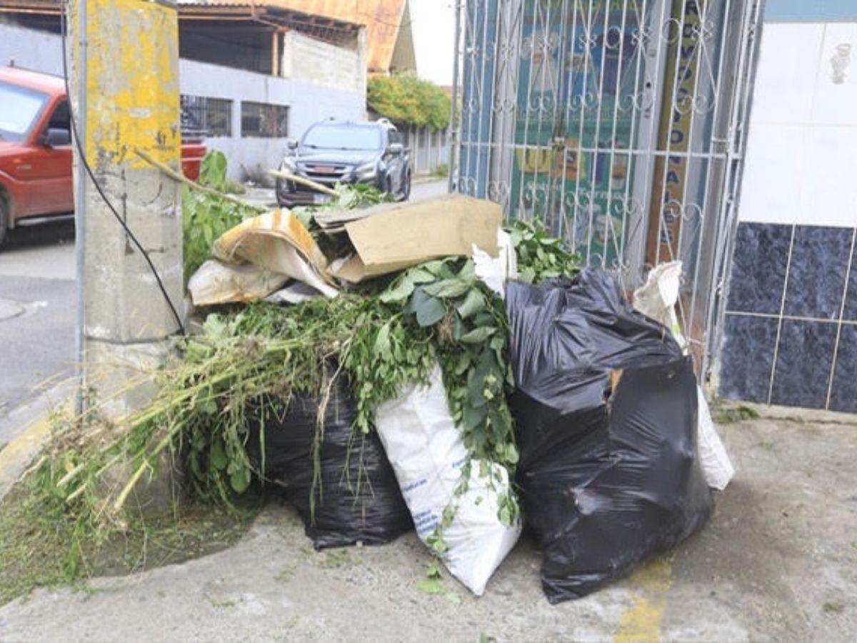 La mediana de la transitada avenida Júnior está convertida en un enorme basurero