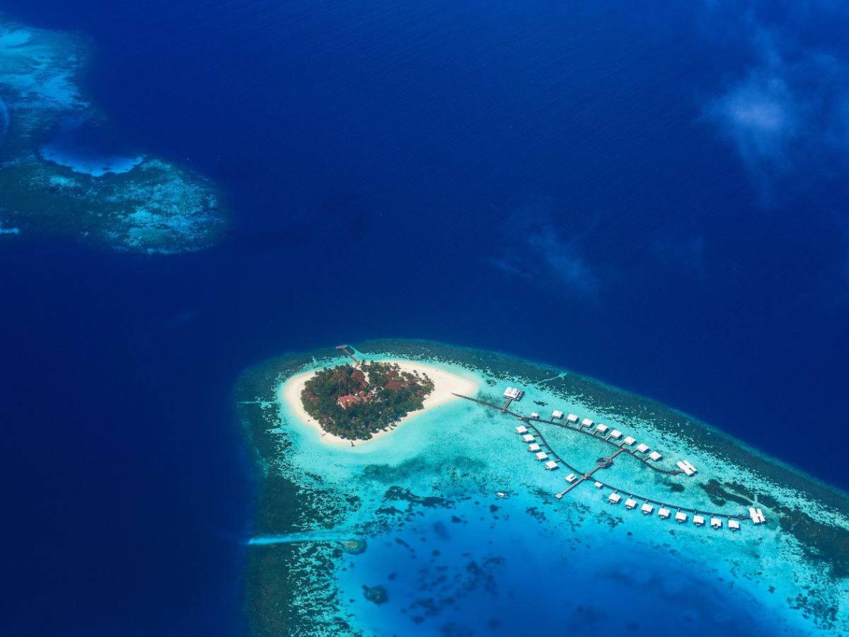 ¿Cuál es el primer país en celebrar el Año Nuevo?