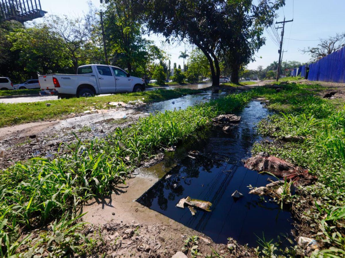 Derrame de aguas negras en el bulevar del sur acumula meses de contaminación