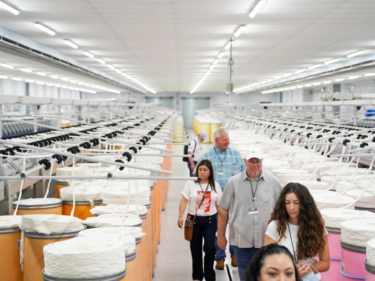 SIERRA y Better Cotton apuestan por una producción sostenible