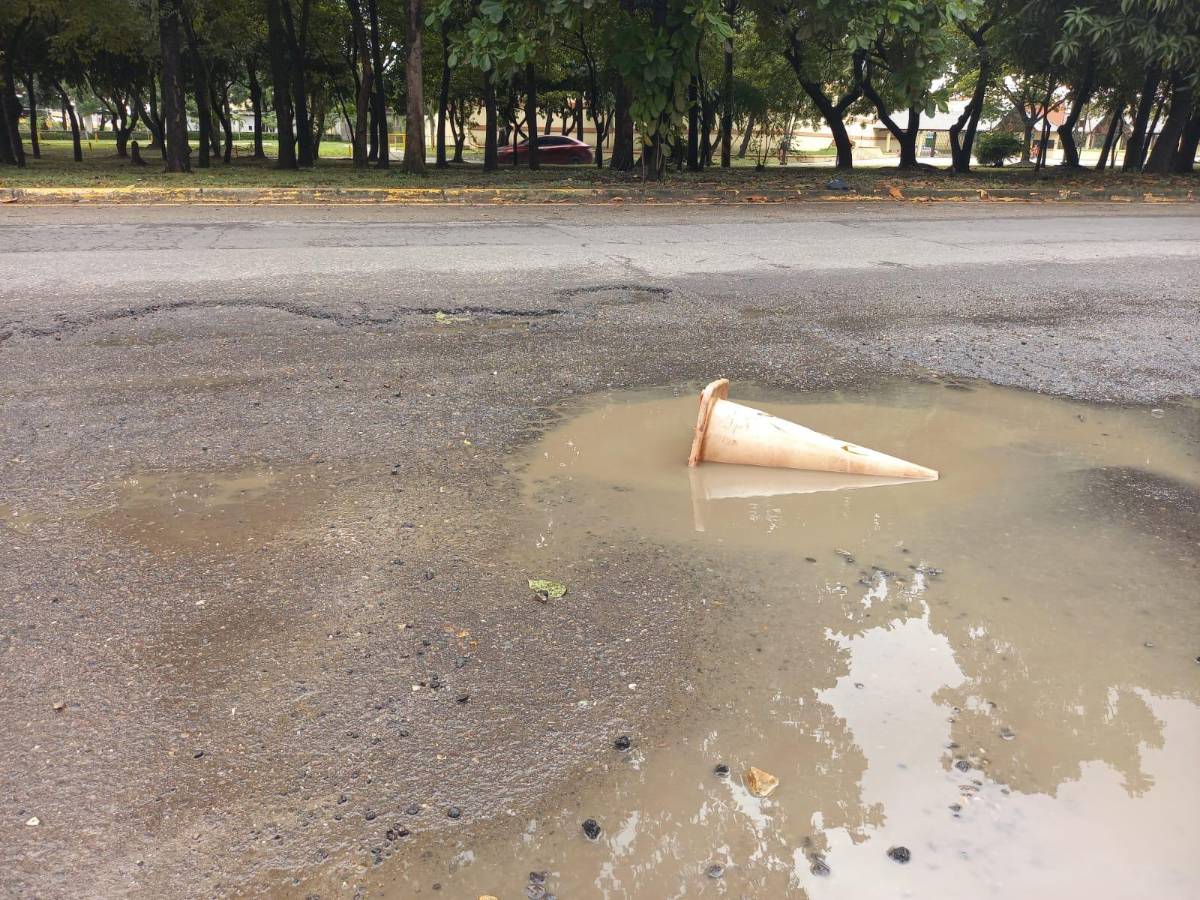 Con llantas y ramas alertan de baches en el segundo anillo de SPS