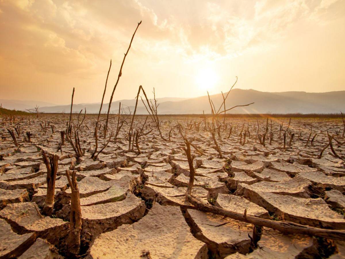 Fenómeno de El Niño ya se formó: NOAA advierte que se fortalecerá