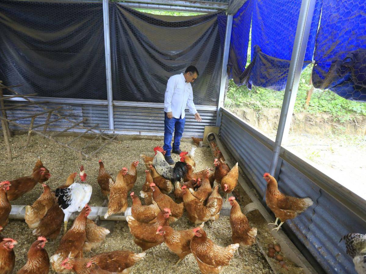 De la basura a los sueños, niños encuentran esperanza y educación en Brazos de Jesús