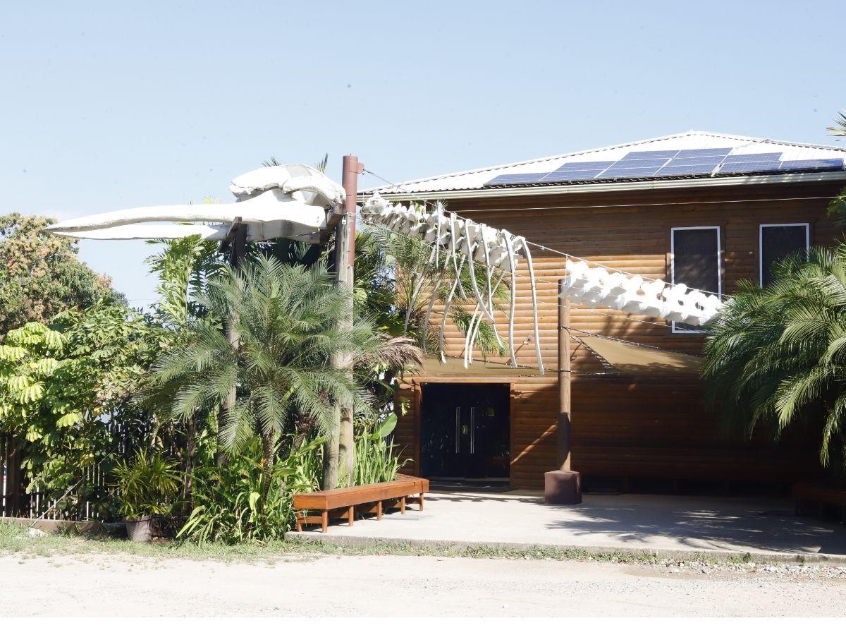 Crece la oferta turística en Tela previo a Semana Santa