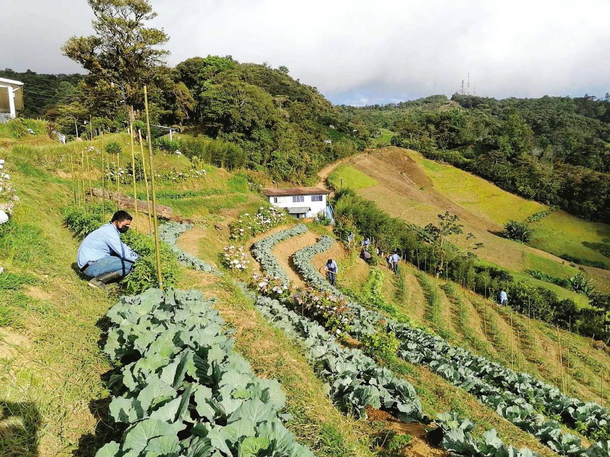 Hoy arranca primer congreso “Laudato si” en escuela de El Merendón