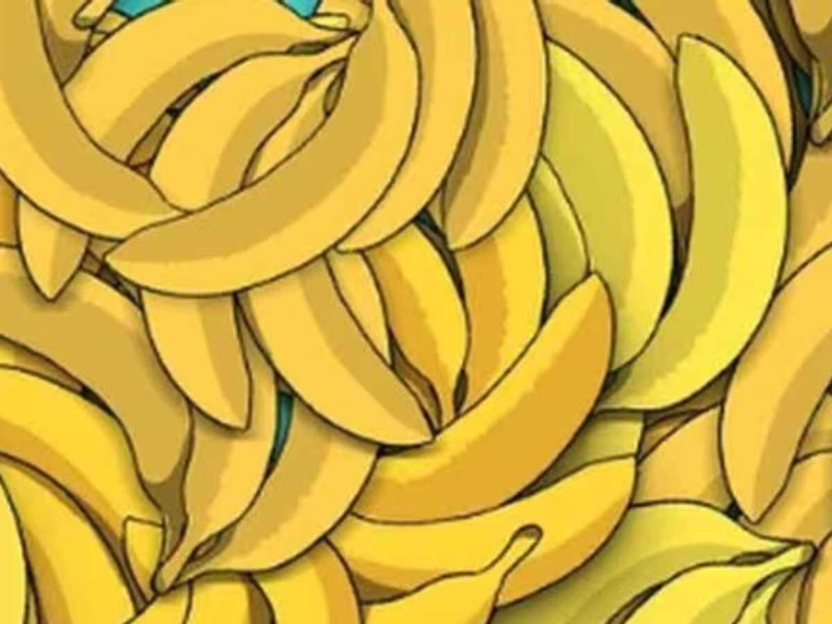 Test visual: descubre si puedes encontrar a la serpiente