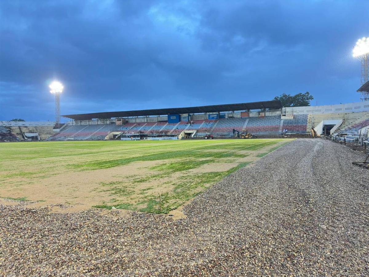 En fotos: los nuevos avances de la nueva grama híbrida del estadio Ceibeño