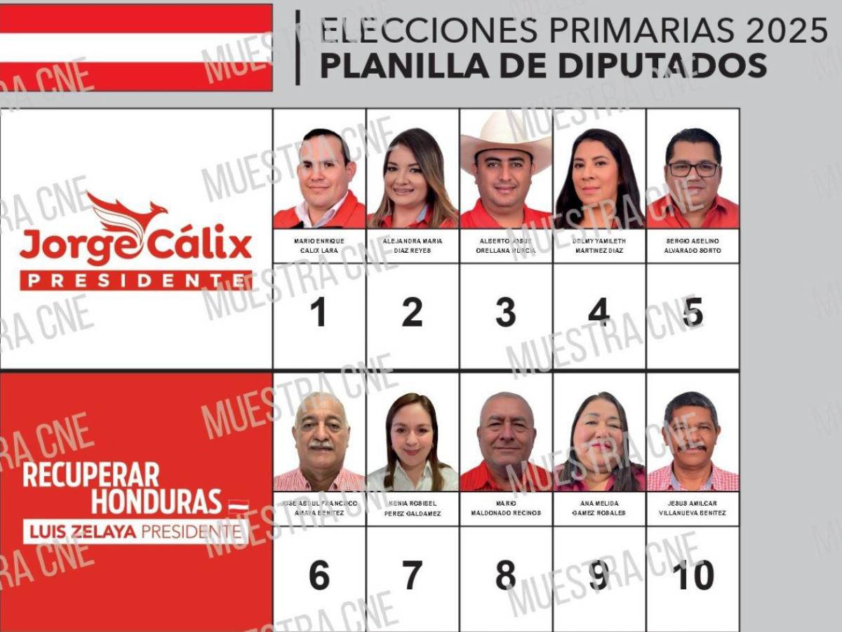 Aspiran a ser diputados del departamento de Lempira