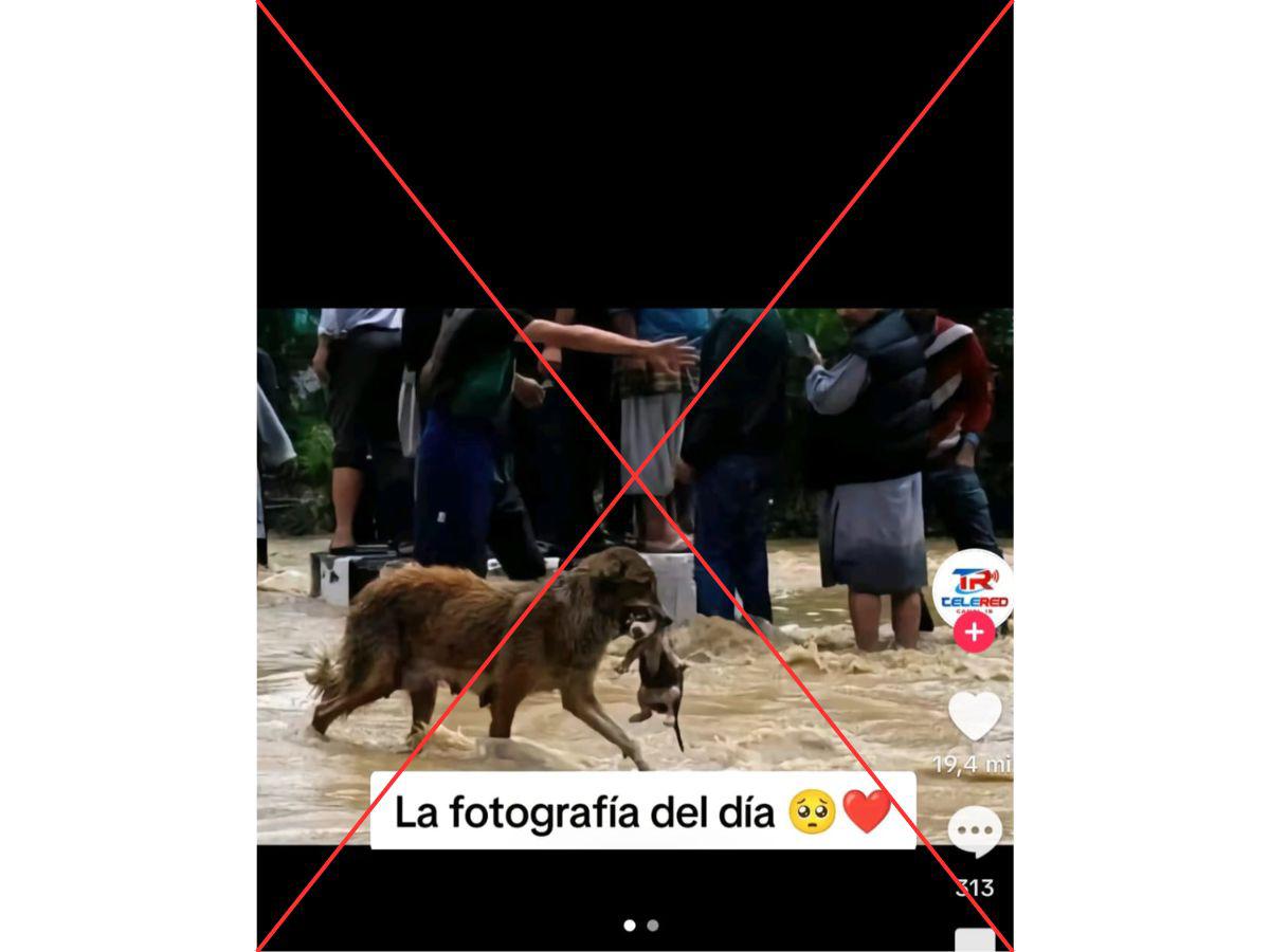 Captura de pantalla a un video que circula en TikTok.