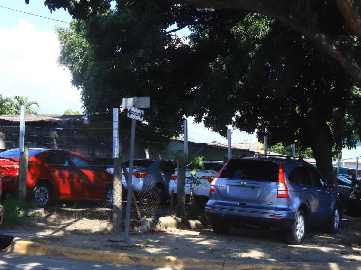 Importación de vehículos: un negocio en auge en Honduras