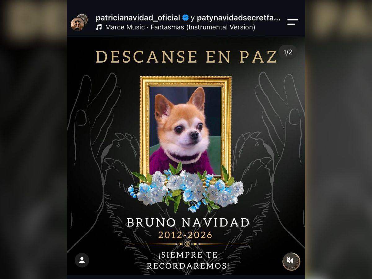 Paty Navidad, destrozada tras la muerte de uno de sus seres más queridos
