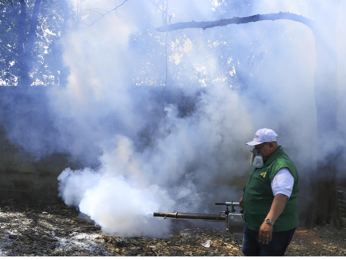 Como parte del proyecto Barrido Municipal, se identifican los criaderos, se aplica el BTI en las pilas y se procede a la fumigación de las viviendas y centros educativos de San Pedro Sula.