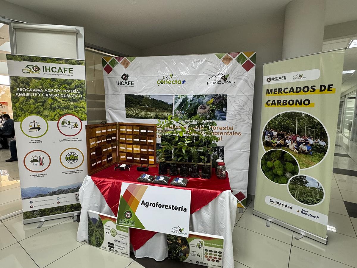 El Programa de Agroforestería del IHCAFE, promueve prácticas sostenibles que fortalecen la relación entre el cultivo del café y la biodiversidad, contribuyendo a la resiliencia climática y al bienestar de las comunidades.