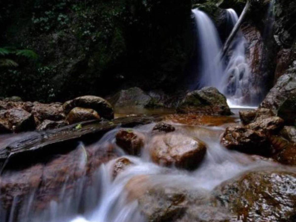 Explora las maravillas del Lago de Yojoa
