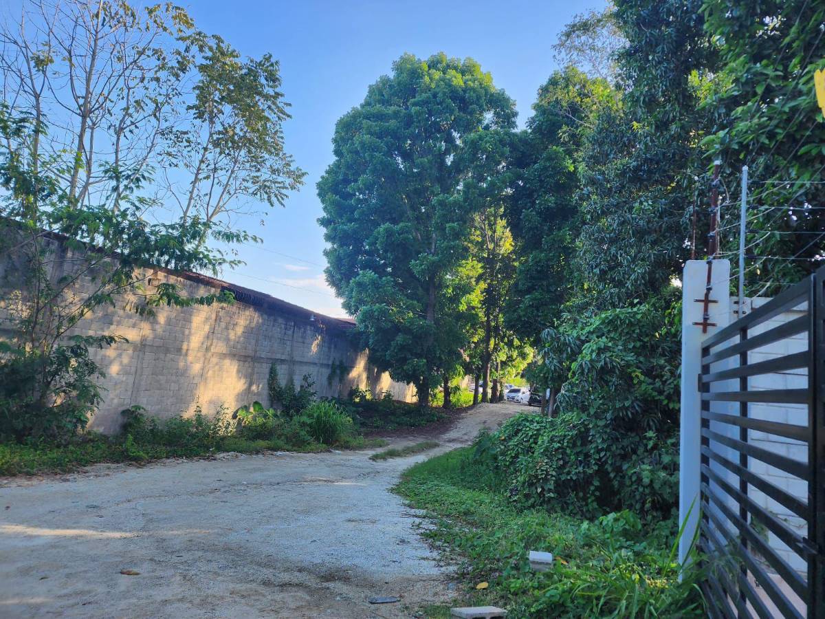 Jardines del Valle también muestra lo que las motosierras de Contreras se llevaron