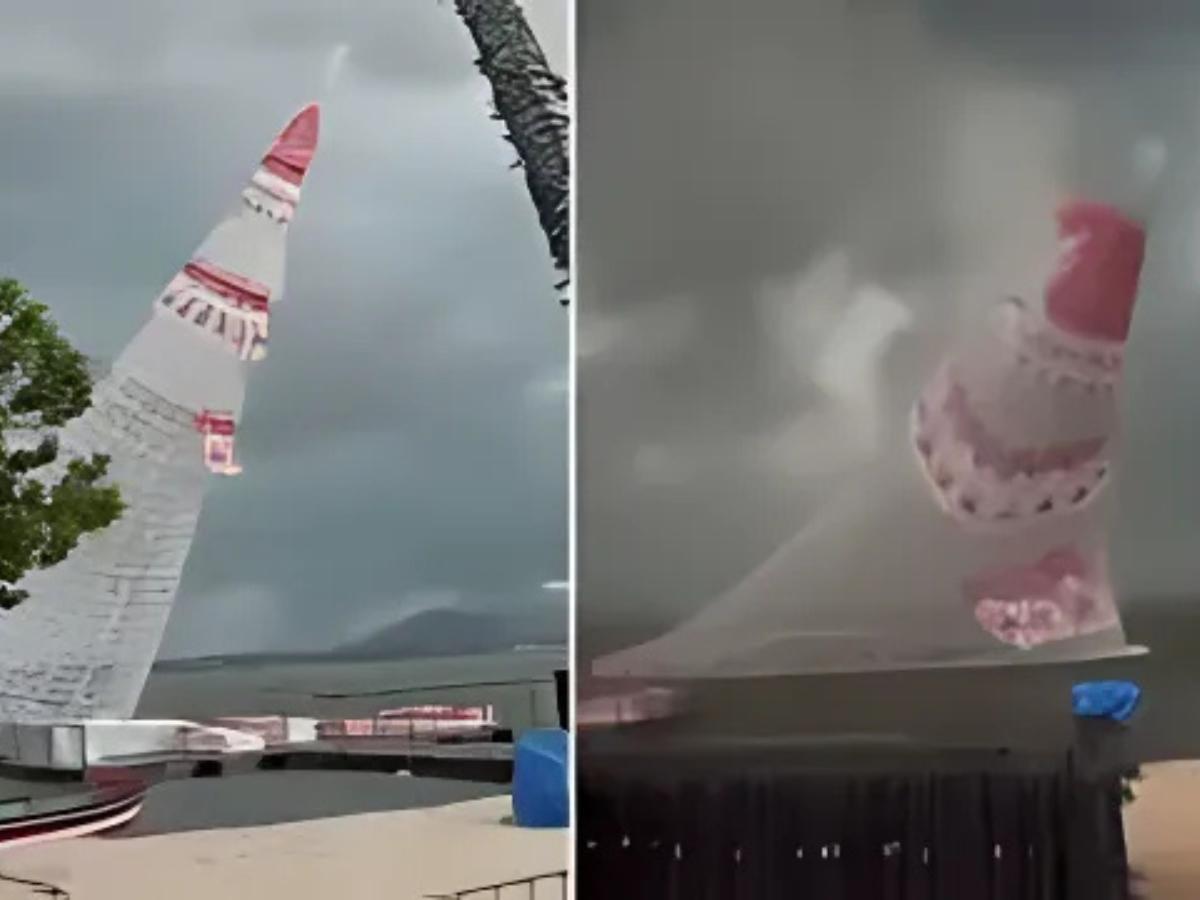 VIDEO: Árbol de Navidad cae y mata a un joven