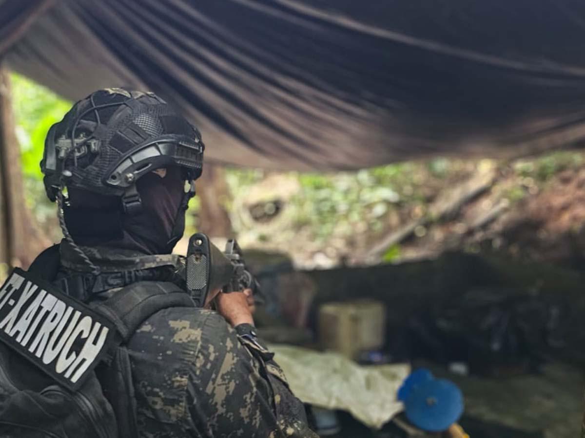 Más de 44,000 arbustos de hoja de coca y dos picaderos son asegurados en Colón
