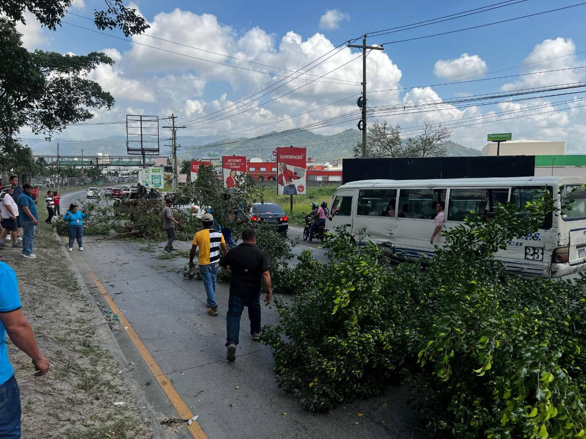 Lo último del caso Koriun: largas filas para cobrar intereses