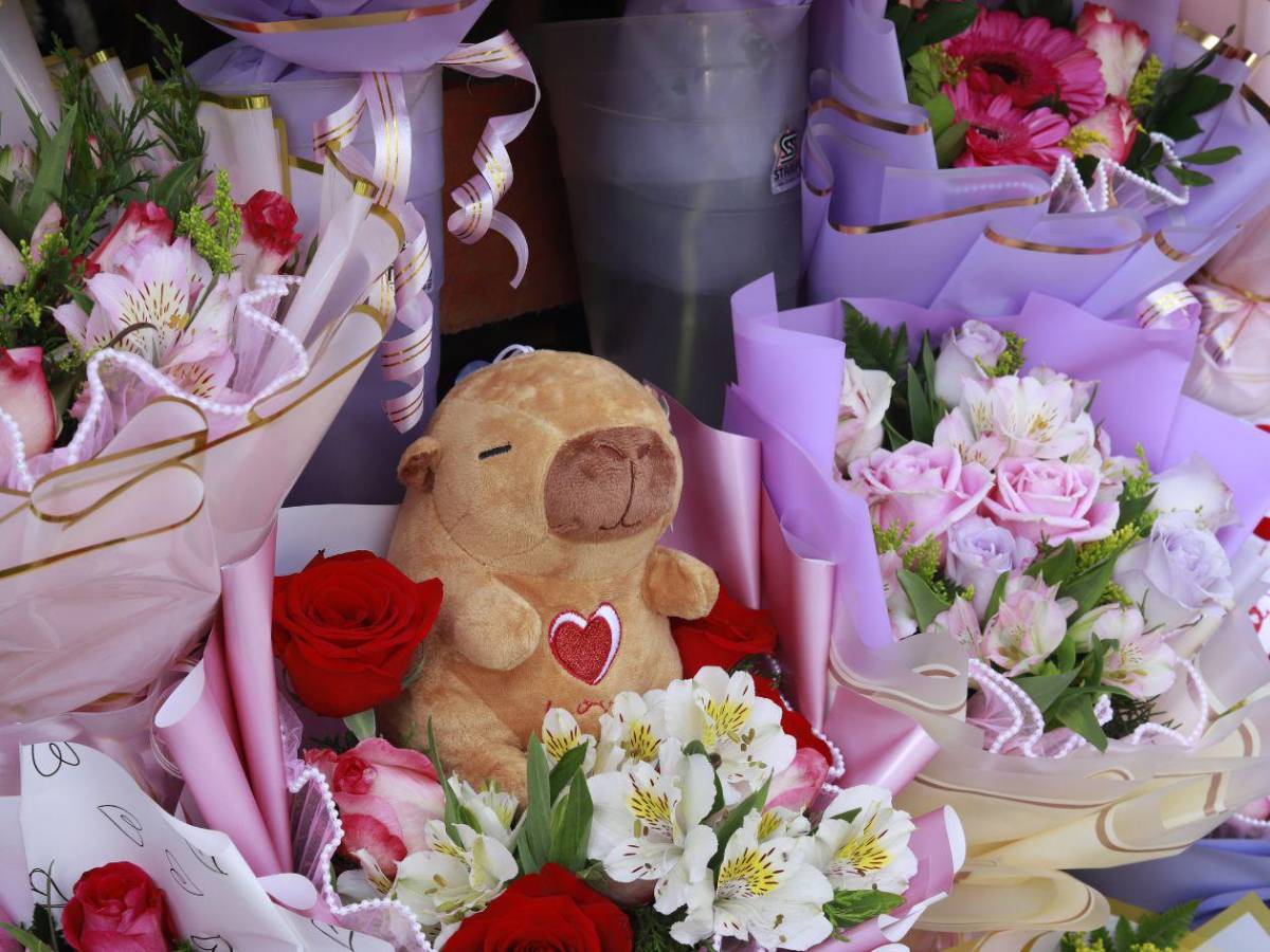 Color y romanticismo invaden el sector Guamilito por el Día del Amor y la Amistad