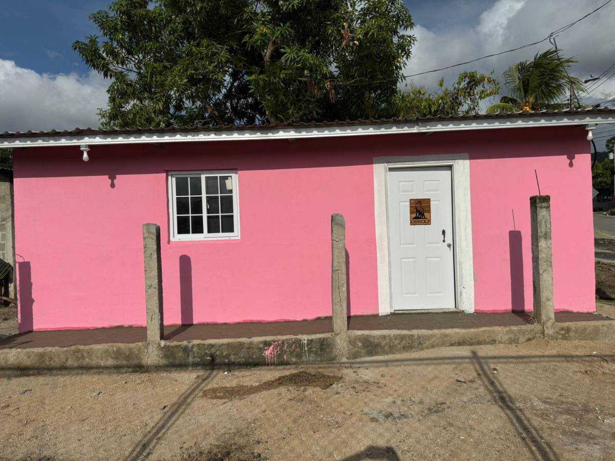 Influencer hondureño construyó casa a familia de escasos recursos y promete ayudar a mil más