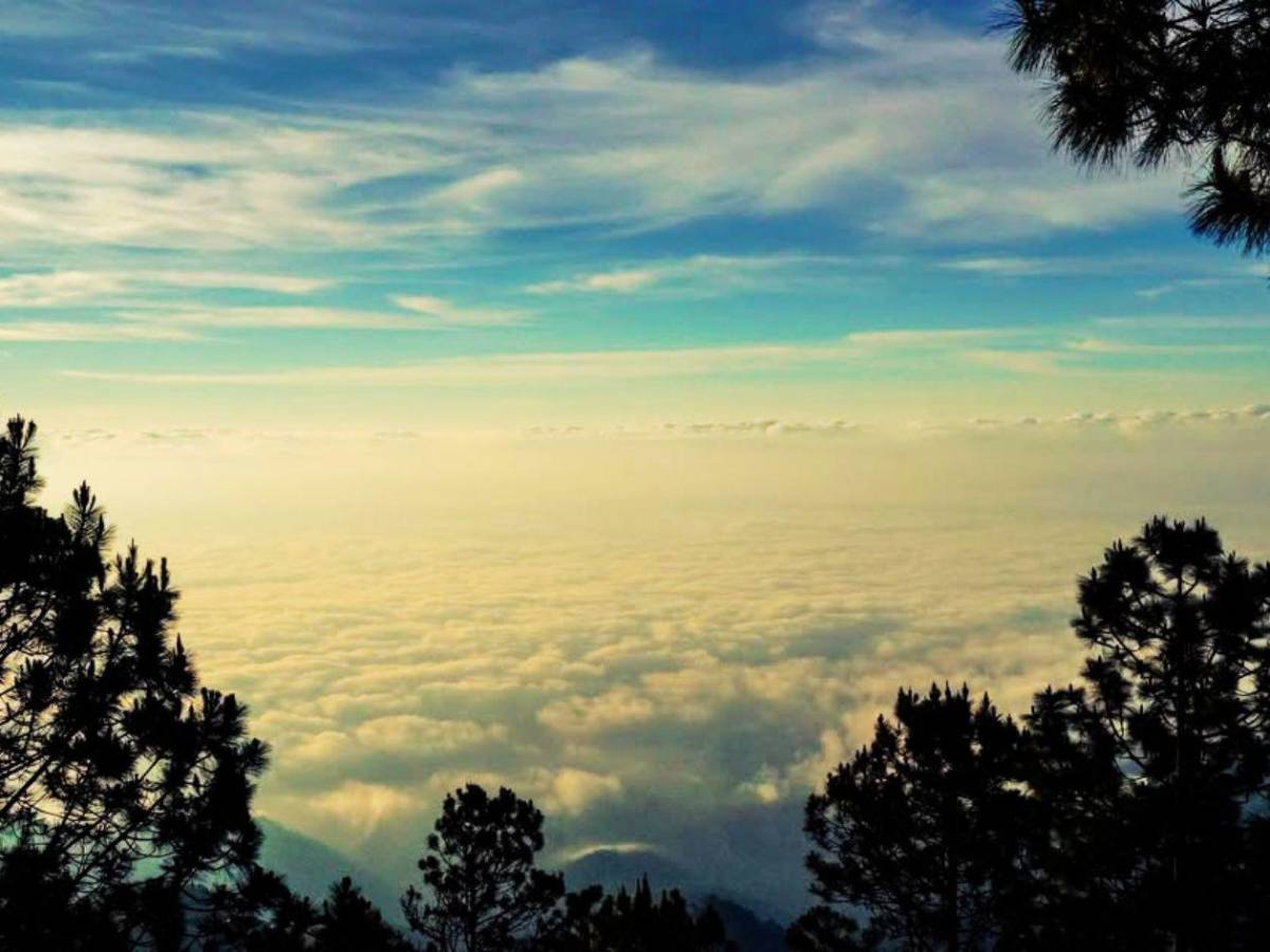 De bosques nublados a playas vírgenes: así de bellos son estos cinco parques nacionales