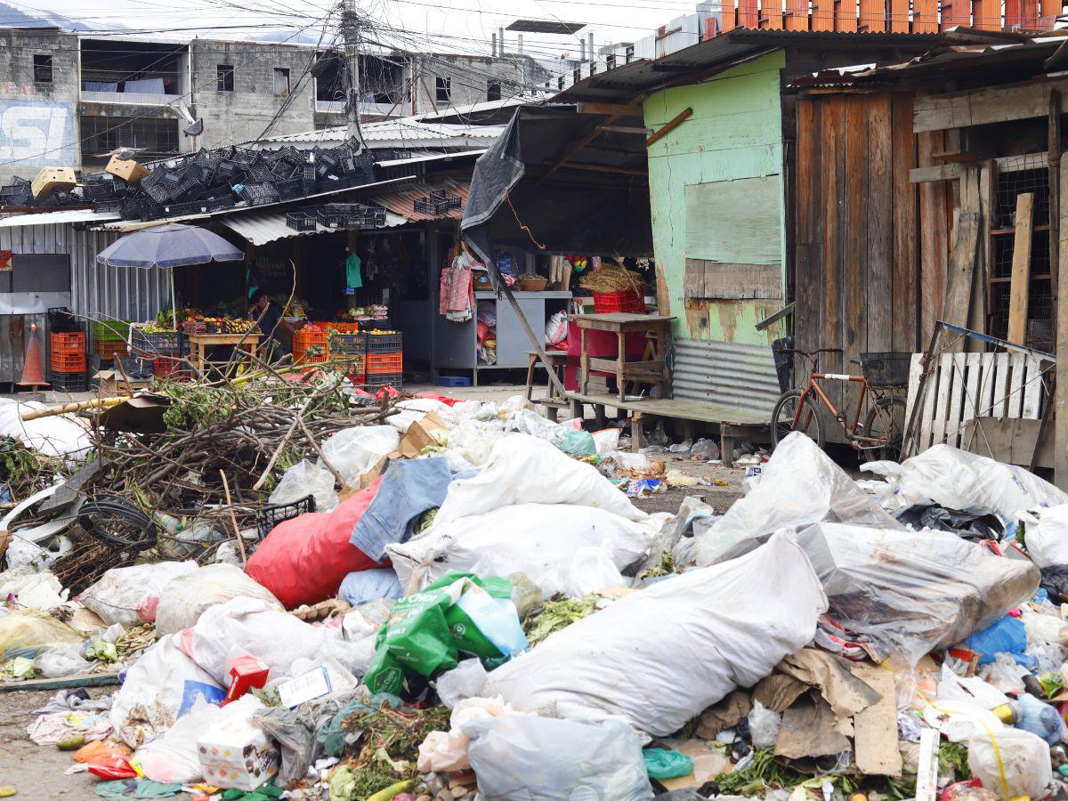 San Pedro Sula a las puertas de una emergencia ambiental por cantidad de basura en las calles