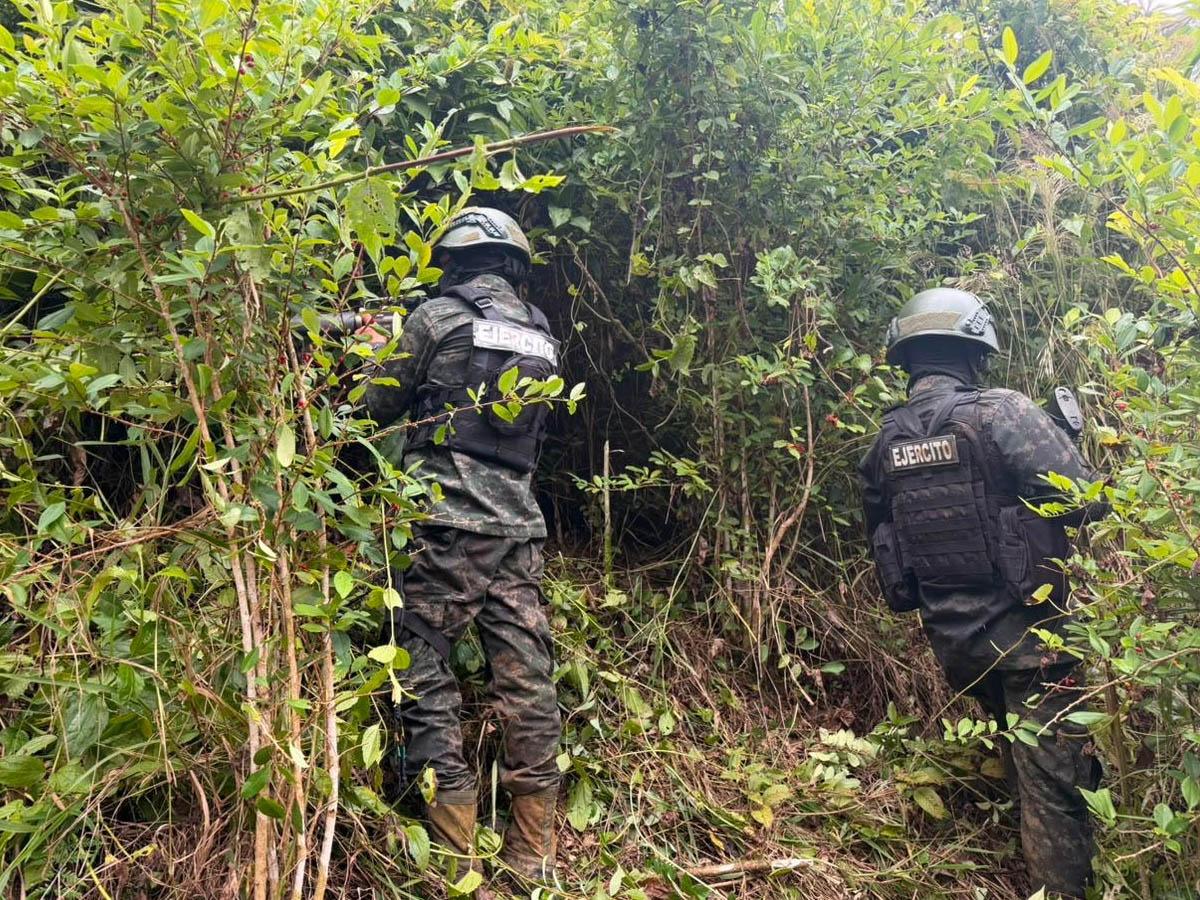 Ejército asegura cuatro plantaciones de coca y marihuana en Yoro