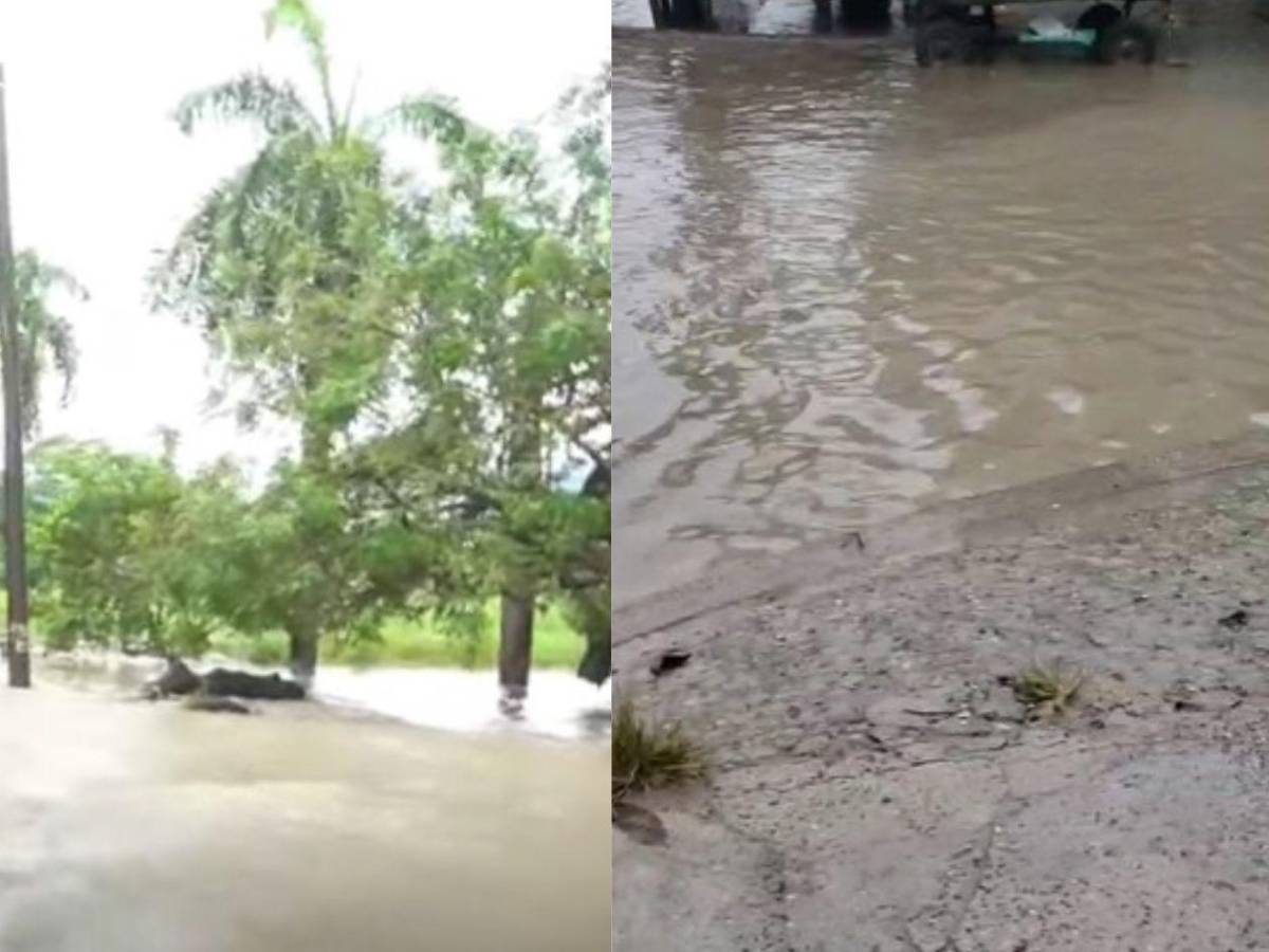 Alerta en la zona norte por lluvias; conozca sectores afectados