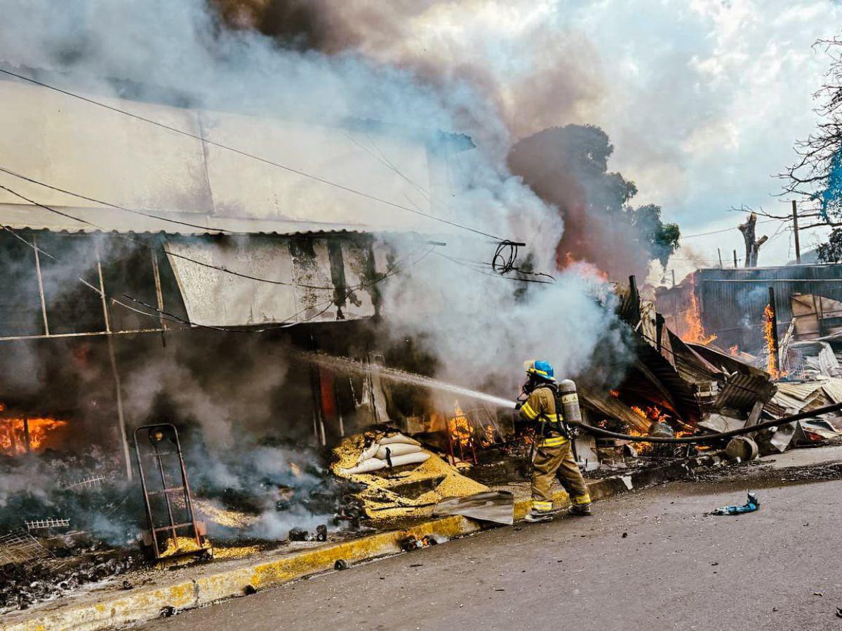 El Salvador en llamas: voraces incendios consumen mercados y cientos de hectáreas