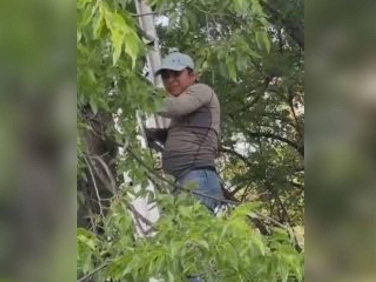 ¿Quién es el migrante que trepó un árbol para evitar ser arrestado?