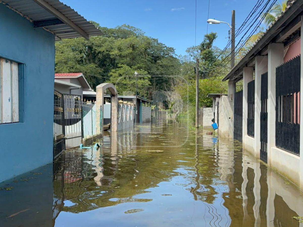 Desbordamiento del Lago de Yojoa deja casas bajo el agua en La Guama