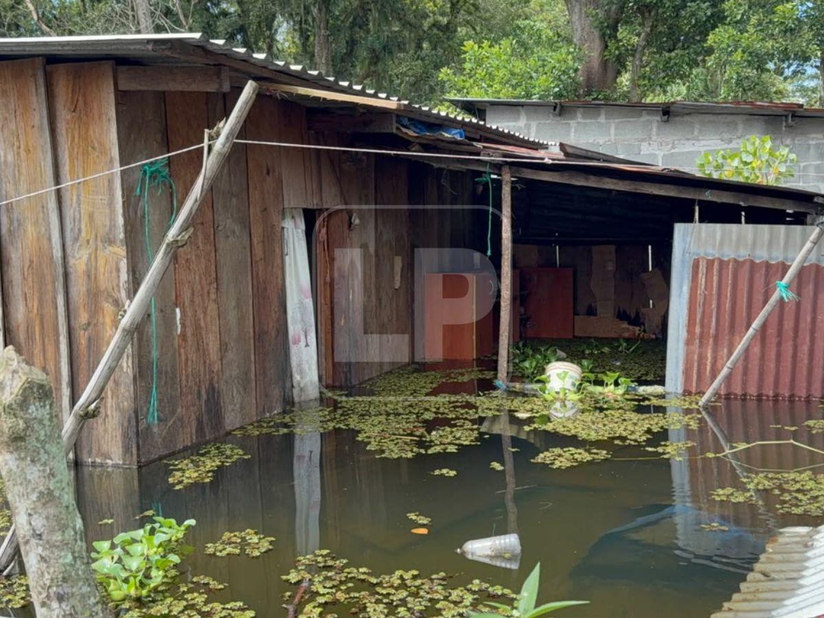 Desbordamiento del Lago de Yojoa deja casas bajo el agua en La Guama
