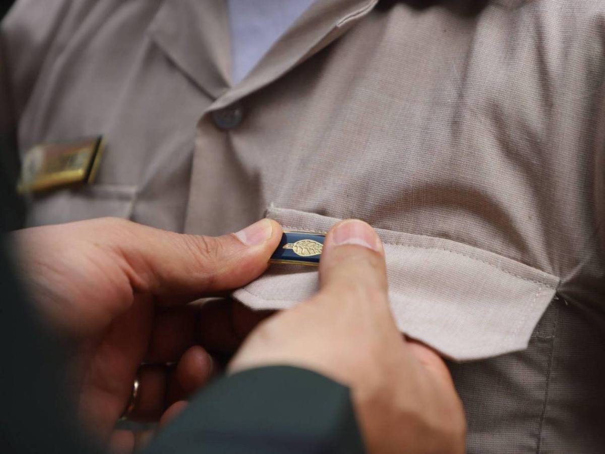 Día del Soldado: el deber que la Constitución pone sobre el uniforme