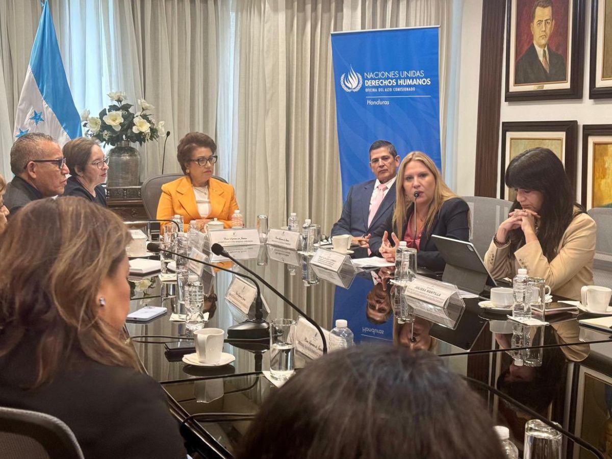 OACNUDH respalda fallo sobre las ZEDE: “Decisión es acorde con las obligaciones del Estado”