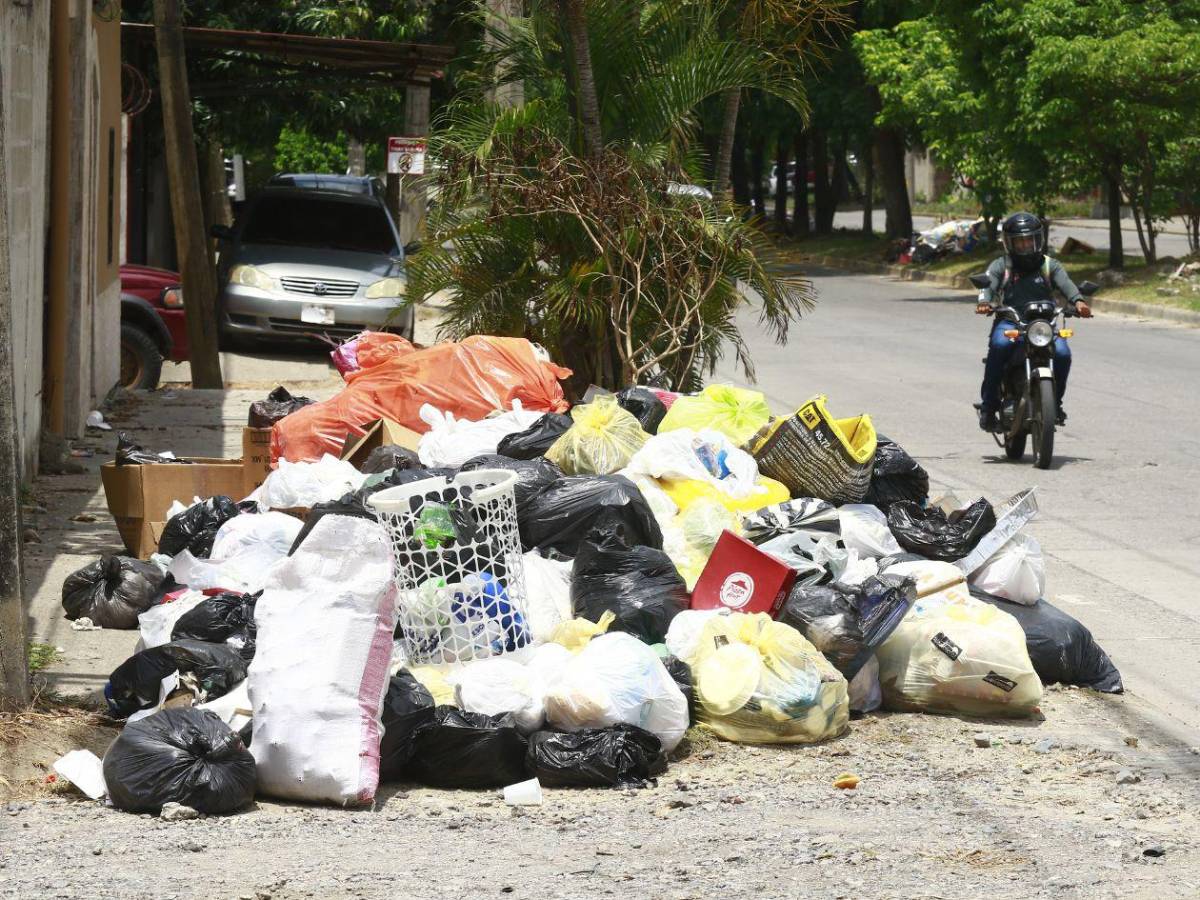 Basura “ahoga a San Pedro Sula, así lucen sus calles