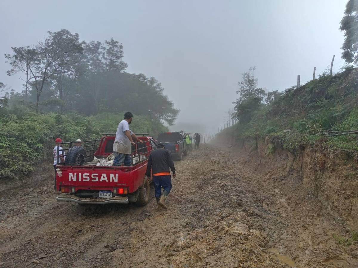 Buscan invertir L600 millones en caminos cafetaleros de cinco departamentos de Honduras