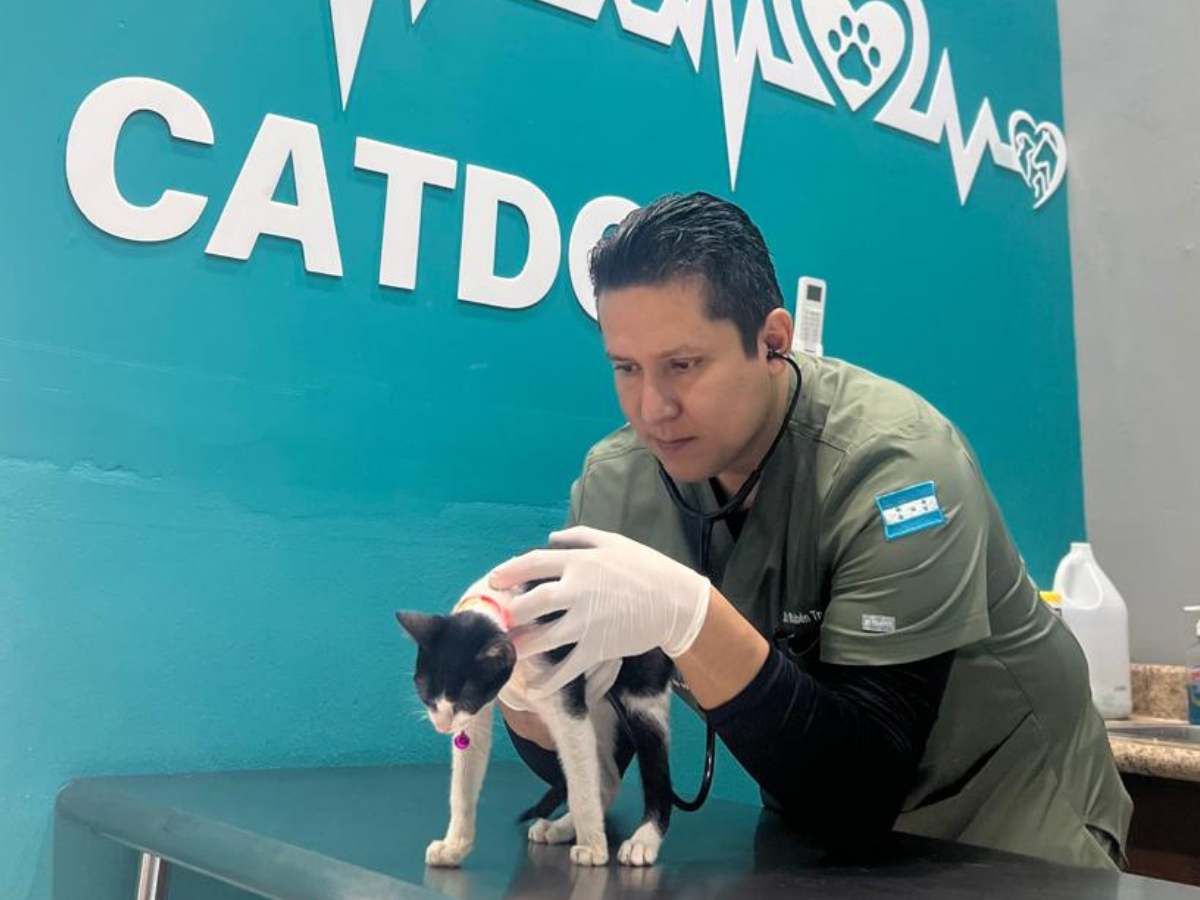 Joven abre veterinaria con servicios a bajo costo en Trujillo