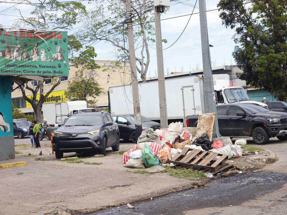 San Pedro Sula a las puertas de una emergencia ambiental por cantidad de basura en las calles