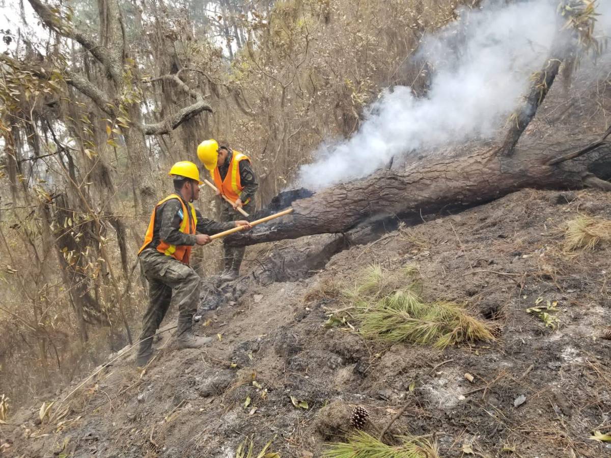 La supervisión es permanente y las cuadrillas siguen trabajando.