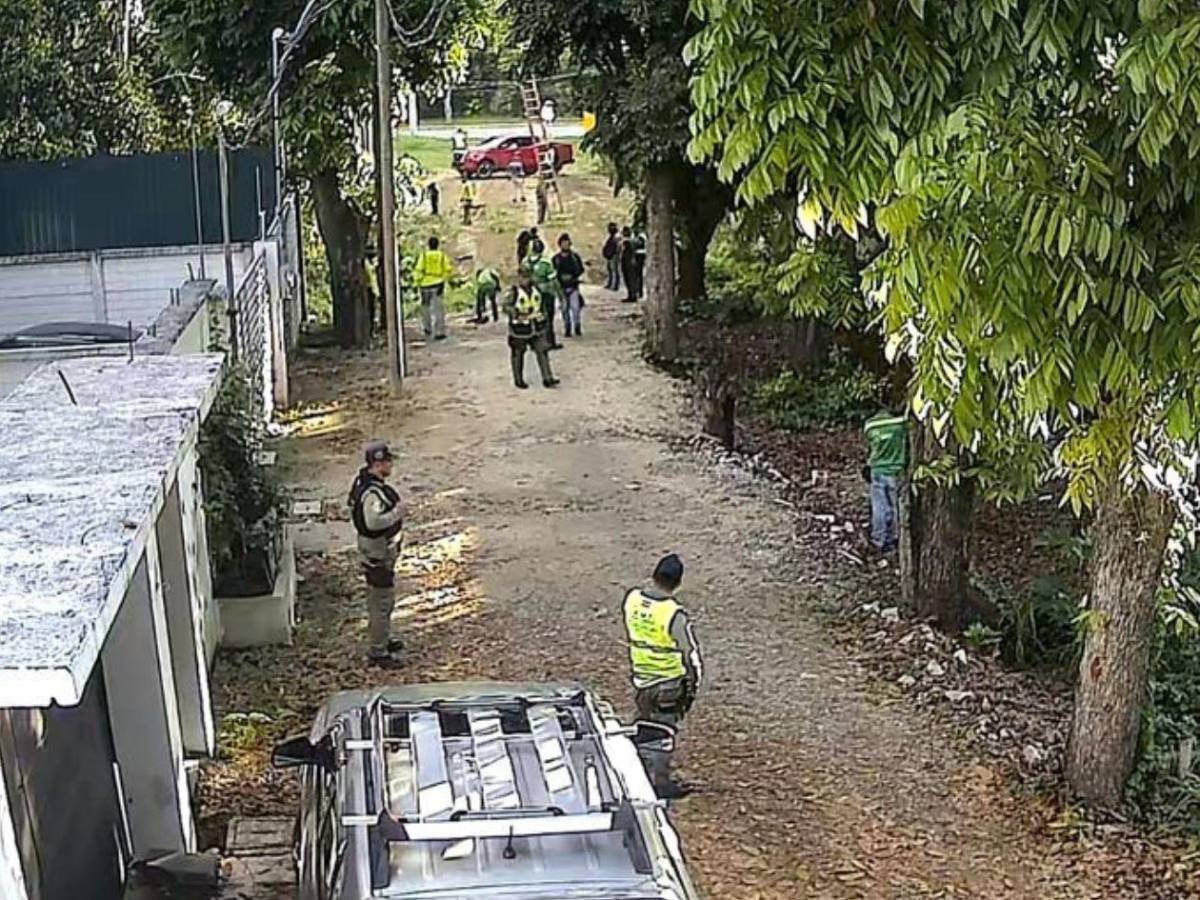 Jardines del Valle también muestra lo que las motosierras de Contreras se llevaron