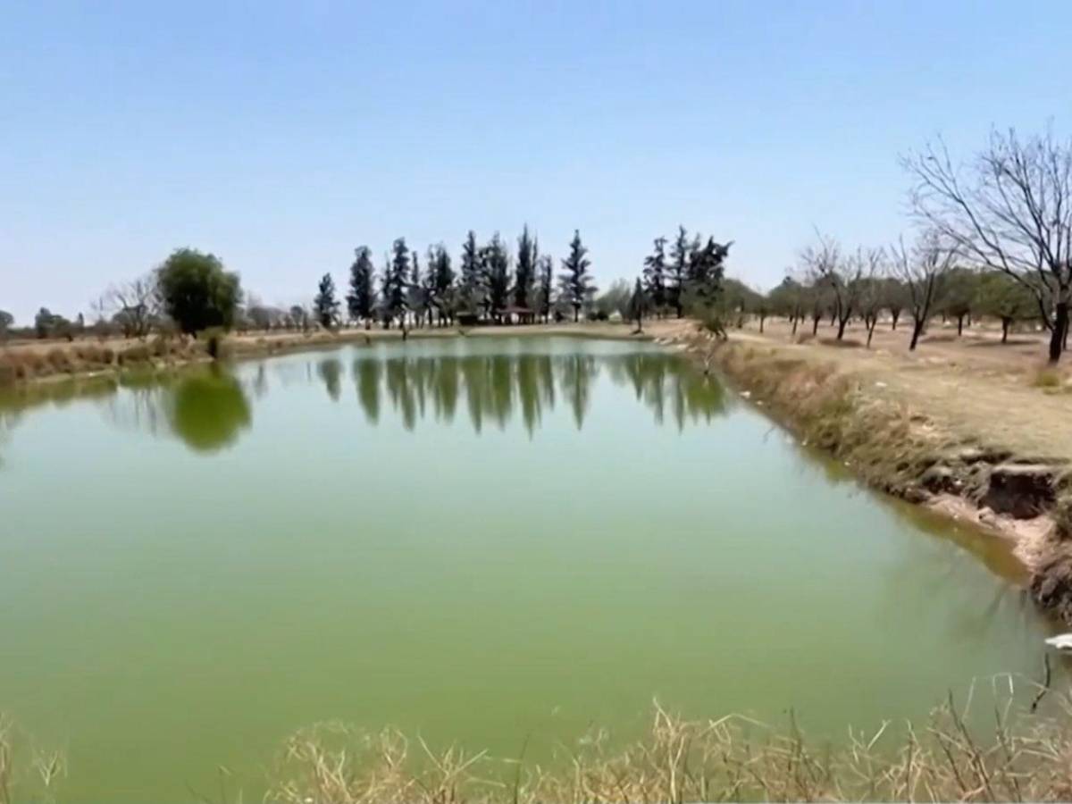 Muere niño de 2 años por sumersión en una cisterna de su casa