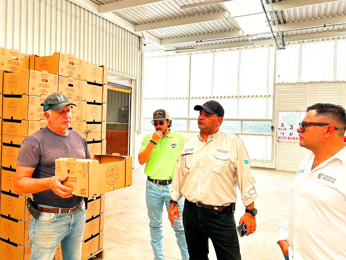 Los representantes de las empresas hondureñas conversaron con expertos del sector sobre el futuro de la horticultura y la importancia de adoptar prácticas sostenibles.