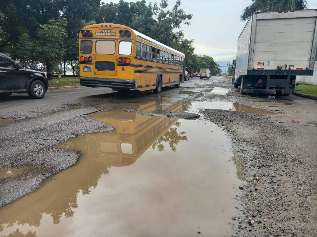Con llantas y ramas alertan de baches en el segundo anillo de SPS